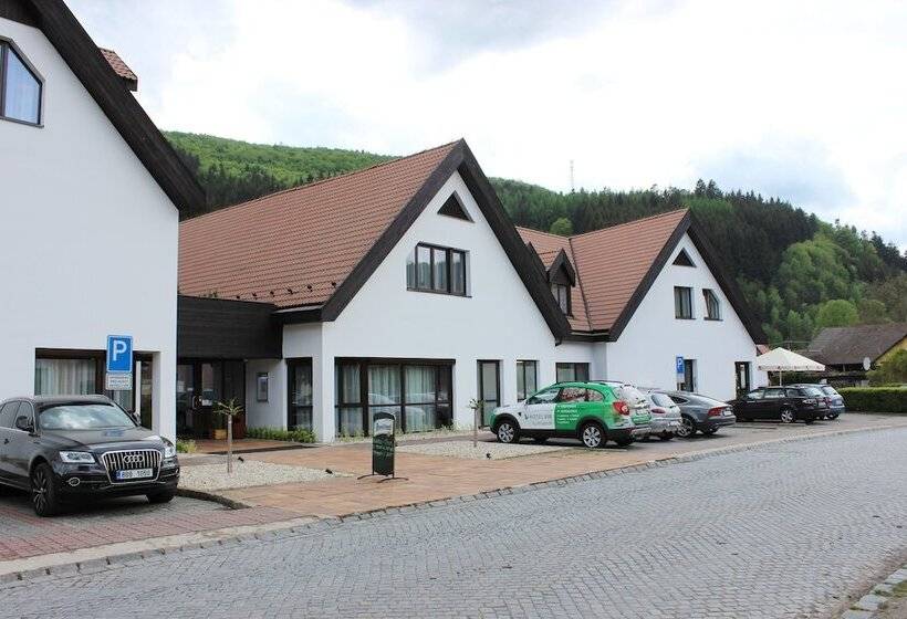 Hotel Vír