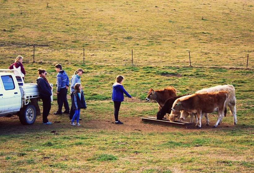 Отель Waterfall Way Farmstay