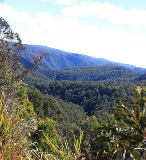 Отель Waterfall Way Farmstay