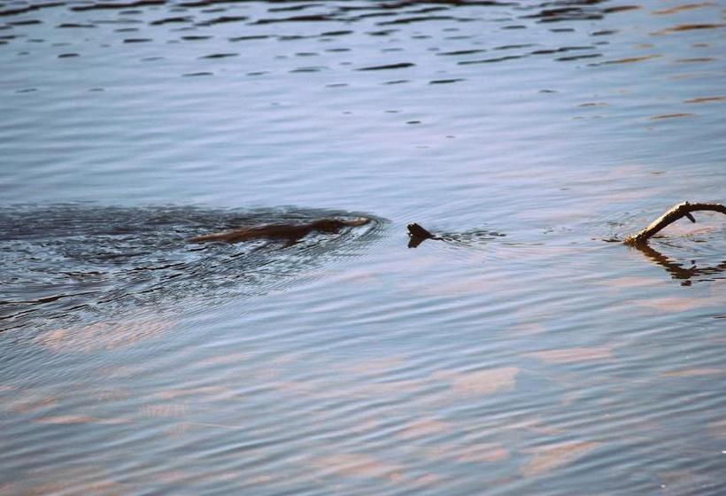 Отель Waterfall Way Farmstay