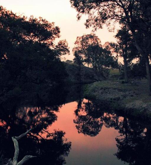 Отель Waterfall Way Farmstay