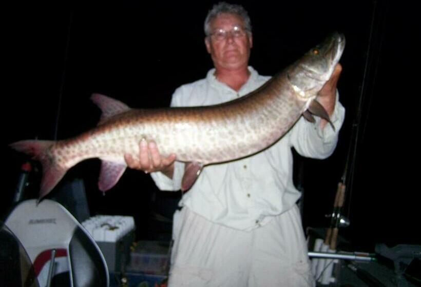 モーテル Muskie Bay Resort