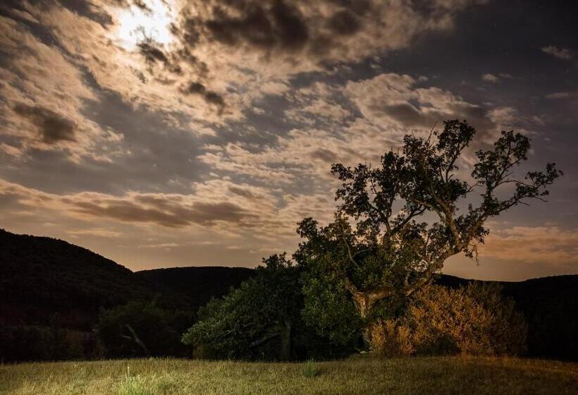 פנסיון Mas De Bombequiols