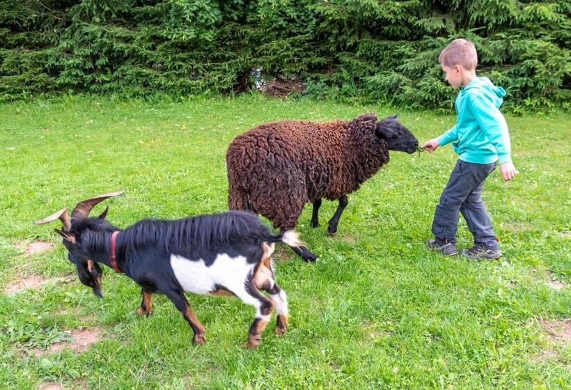 膳宿费 Penzion Vápenka