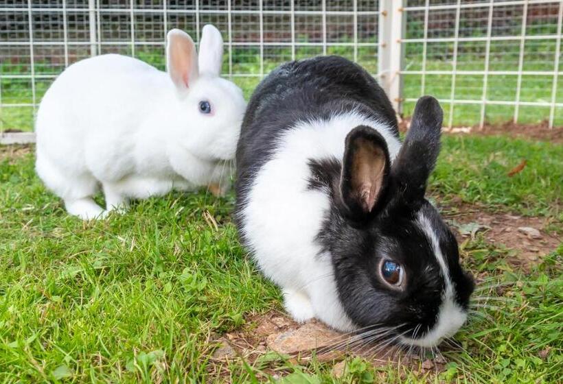 膳宿费 Penzion Vápenka