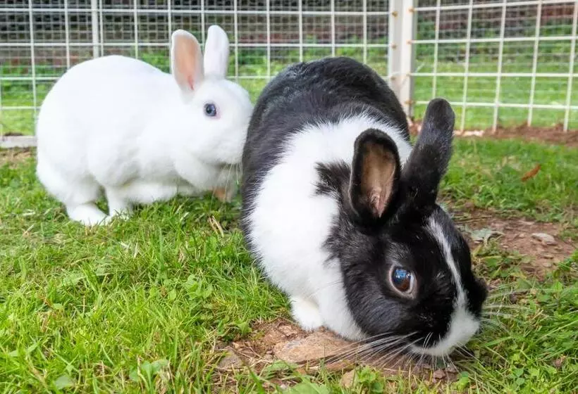 Majatalo Penzion Vápenka