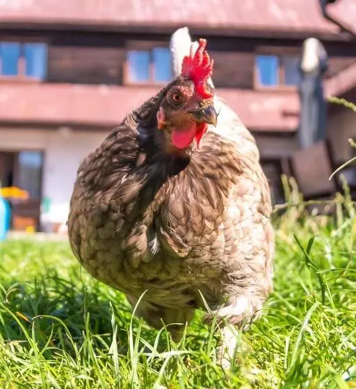 Majatalo Penzion Vápenka