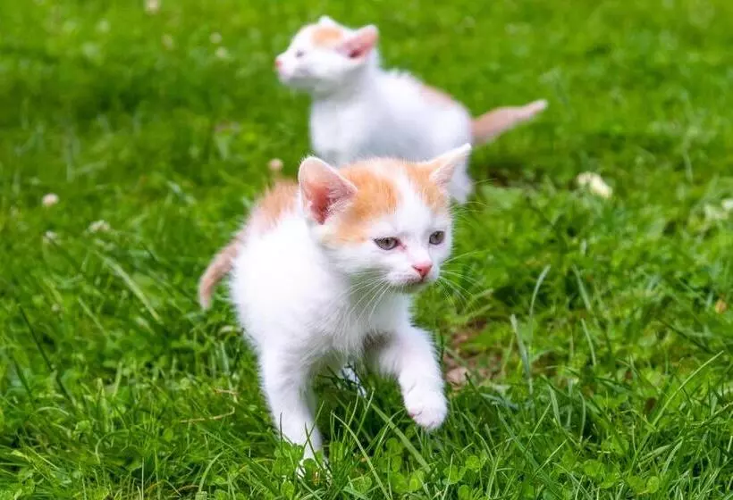 Majatalo Penzion Vápenka