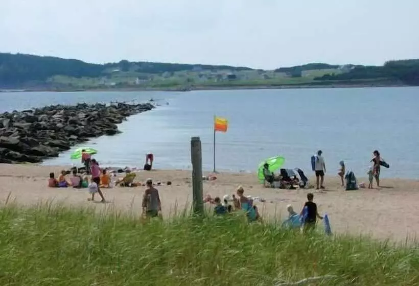 The Fiddle And The Sea Bed And Breakfast