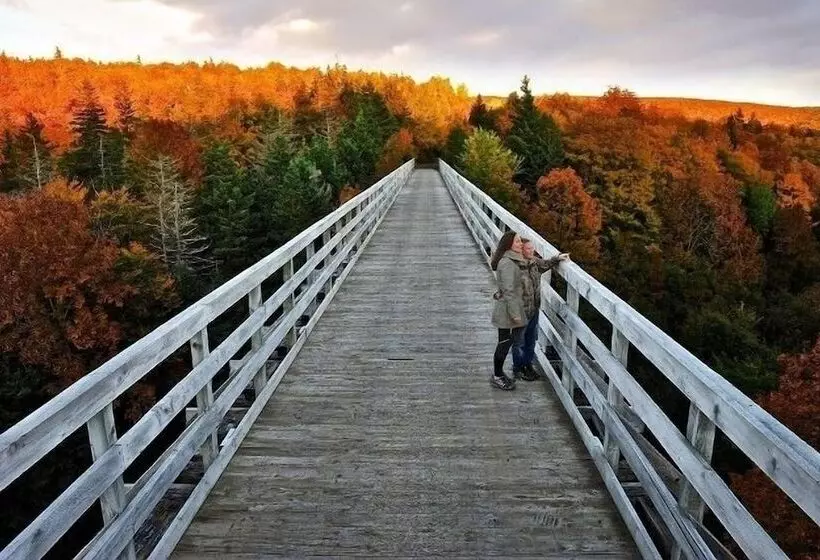 The Fiddle And The Sea Bed And Breakfast