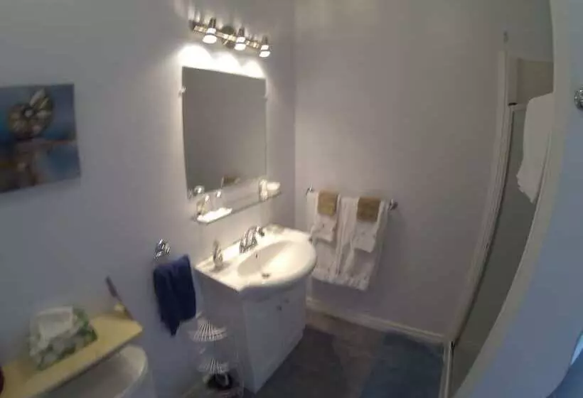 The Fiddle And The Sea Bed And Breakfast