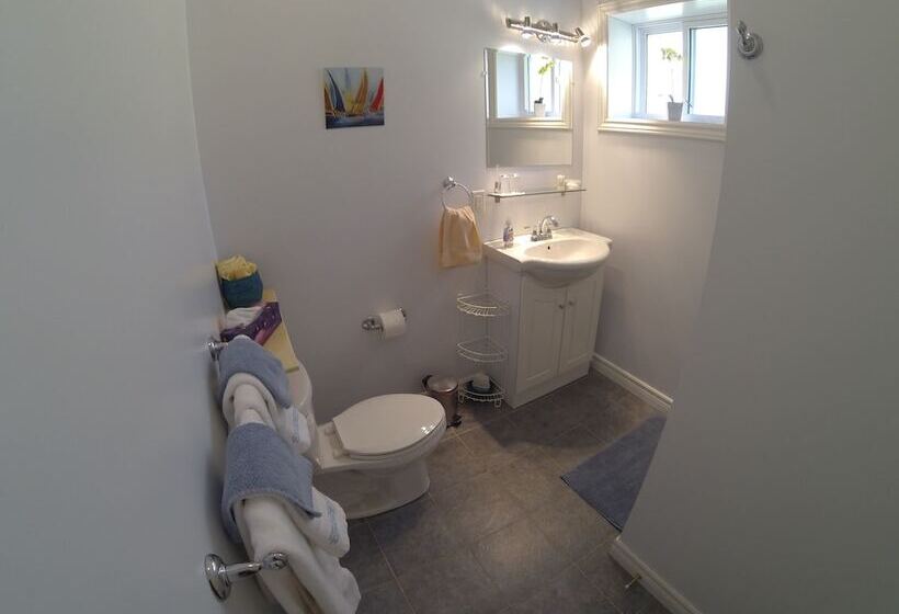 The Fiddle And The Sea Bed And Breakfast