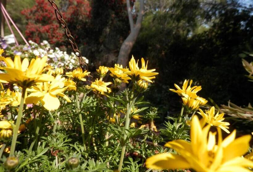 The Hideaway Luxury B&b Retreat