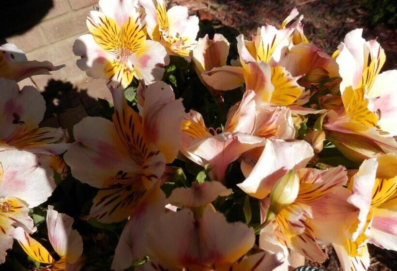 The Hideaway Luxury B&b Retreat