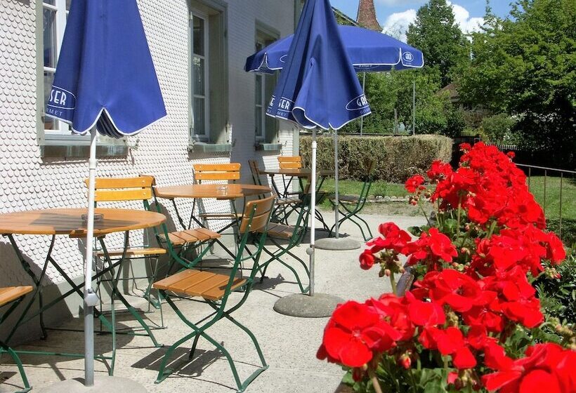 旅馆 Landgasthof Bären