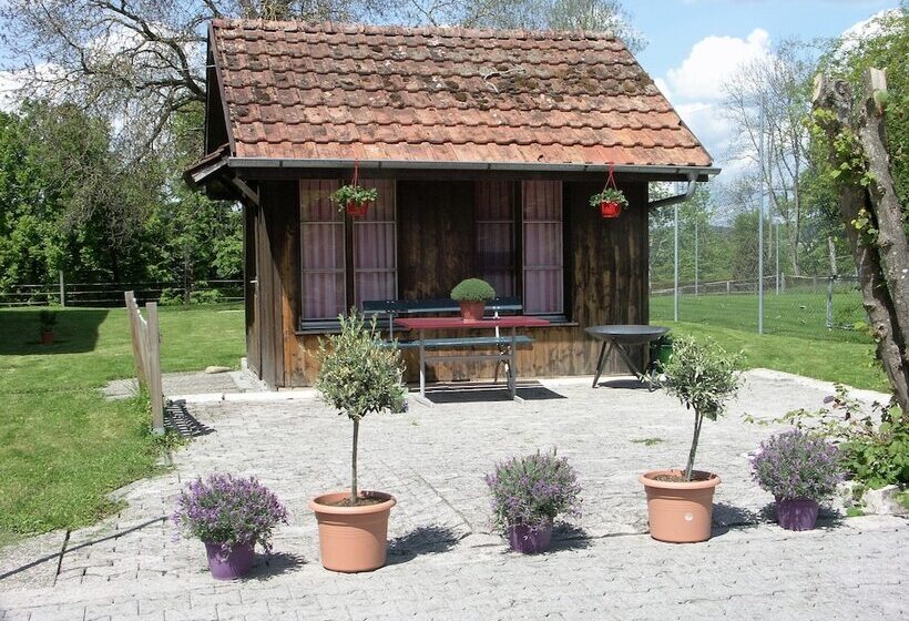 旅馆 Landgasthof Bären