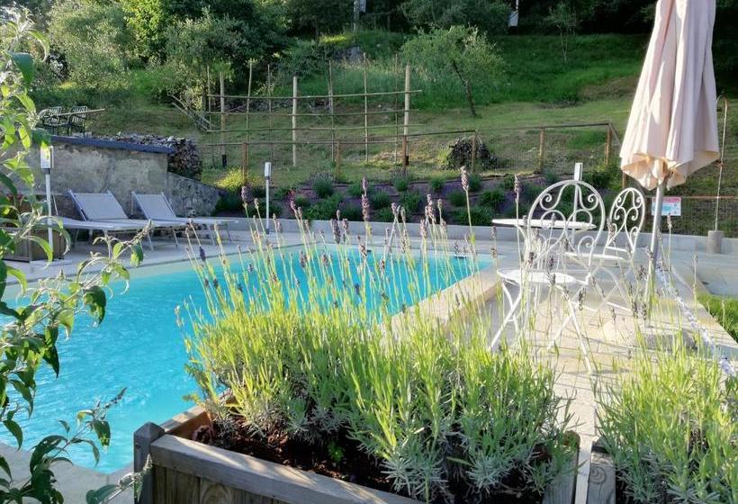 Bed and Breakfast Alle Vignole