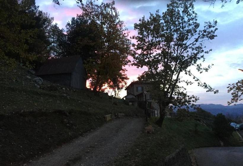 Bed and Breakfast Alle Vignole