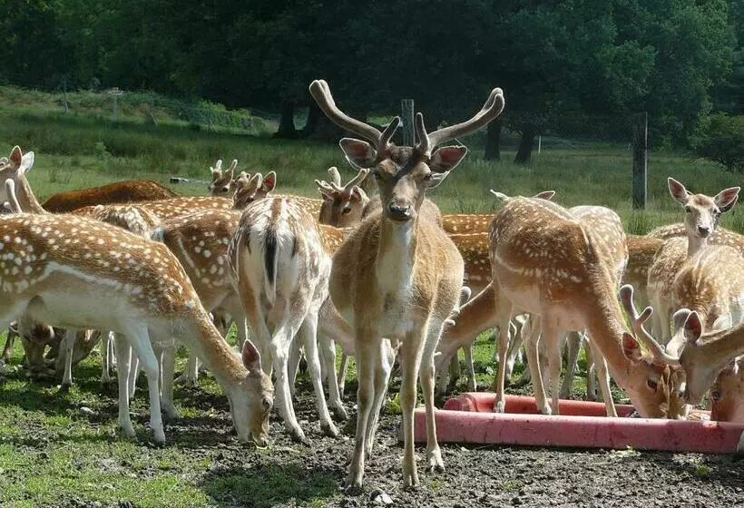 ベッドアンドブレックファースト Château De Saint Maixant