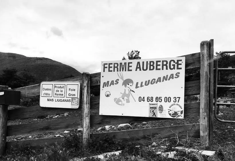 Aamiaismajoitus (B&B) Mas Lluganas