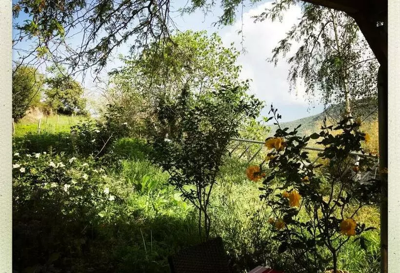 Aamiaismajoitus (B&B) Mas Lluganas