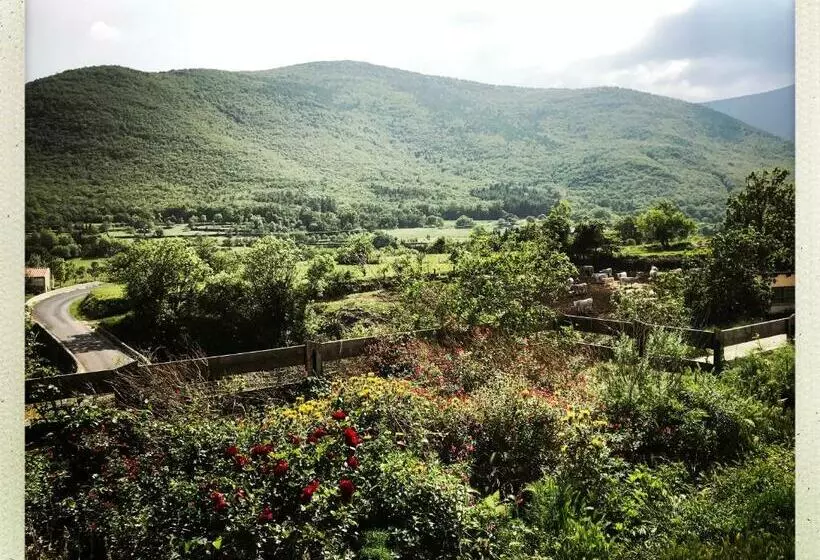 Aamiaismajoitus (B&B) Mas Lluganas