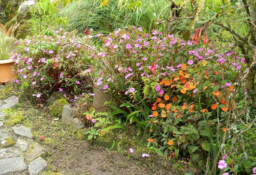 Casa San Rafael Del Pedregoso B&b Y Jardín Botánico