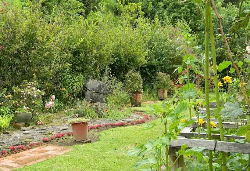 Casa San Rafael Del Pedregoso B&b Y Jardín Botánico