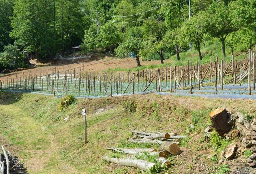 Отель Agriturismo E Turre