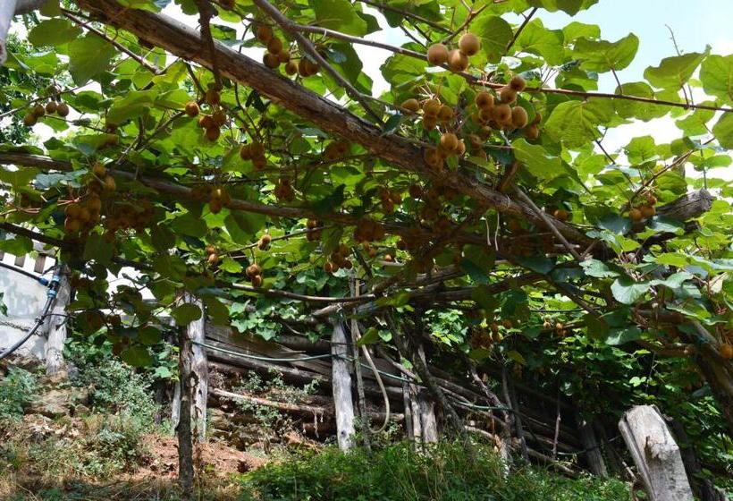 Отель Agriturismo E Turre