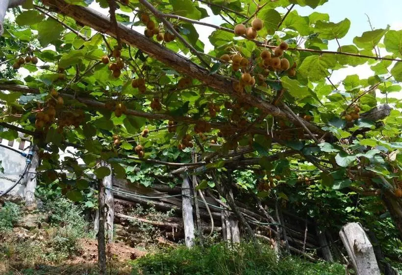 ホテル Agriturismo E Turre