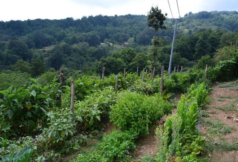 Отель Agriturismo E Turre