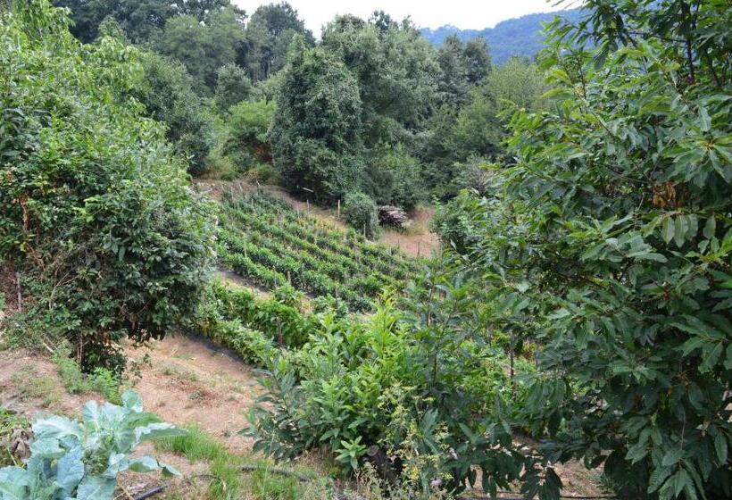 Отель Agriturismo E Turre