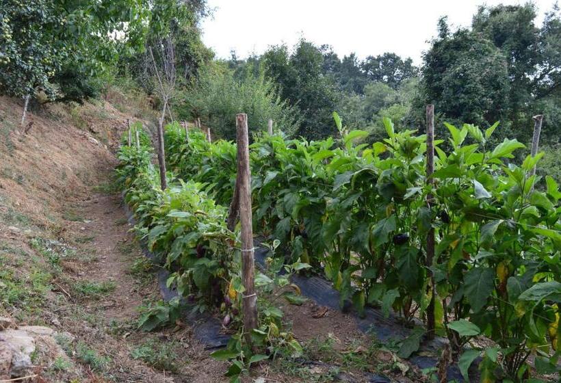 Отель Agriturismo E Turre