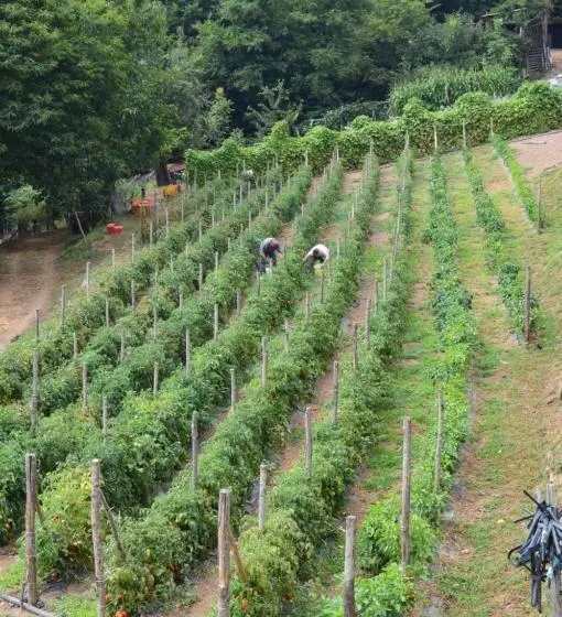 ホテル Agriturismo E Turre