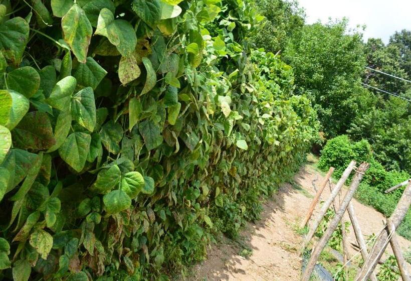 Отель Agriturismo E Turre