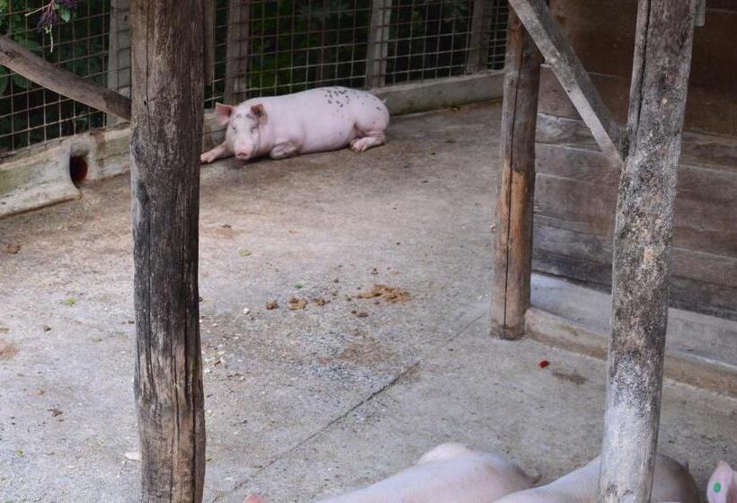 Отель Agriturismo E Turre