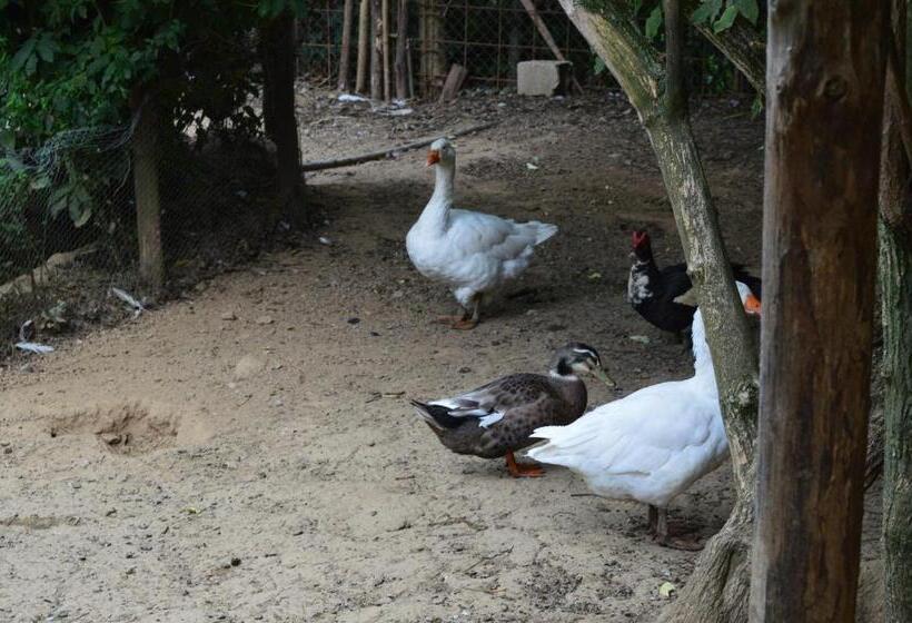 Отель Agriturismo E Turre