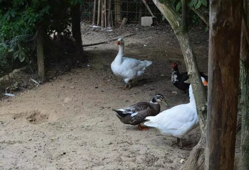 ホテル Agriturismo E Turre