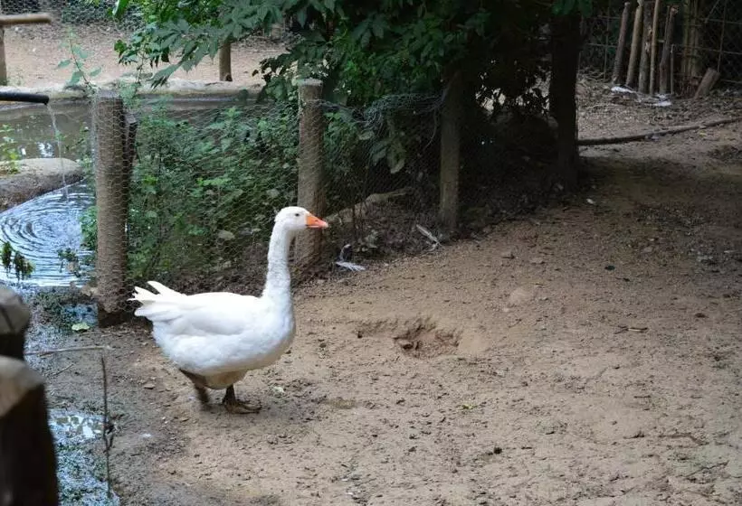 ホテル Agriturismo E Turre
