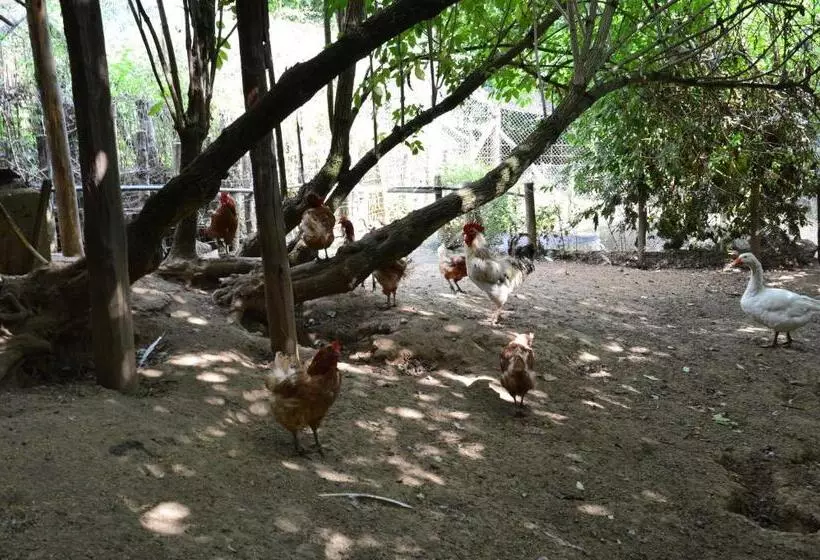 ホテル Agriturismo E Turre