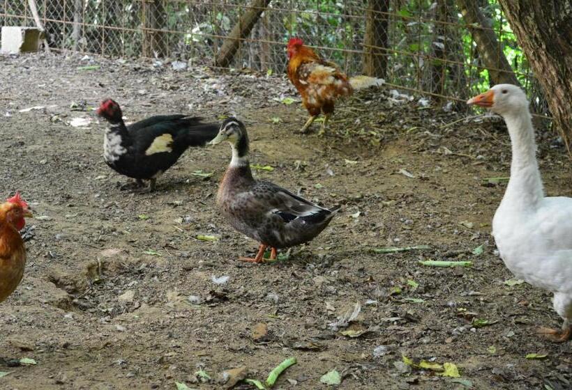 Отель Agriturismo E Turre