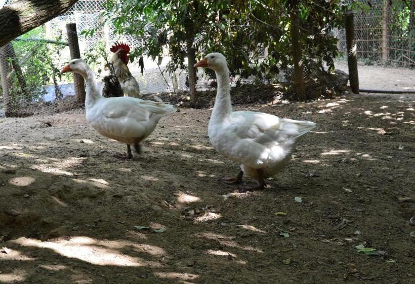 Отель Agriturismo E Turre