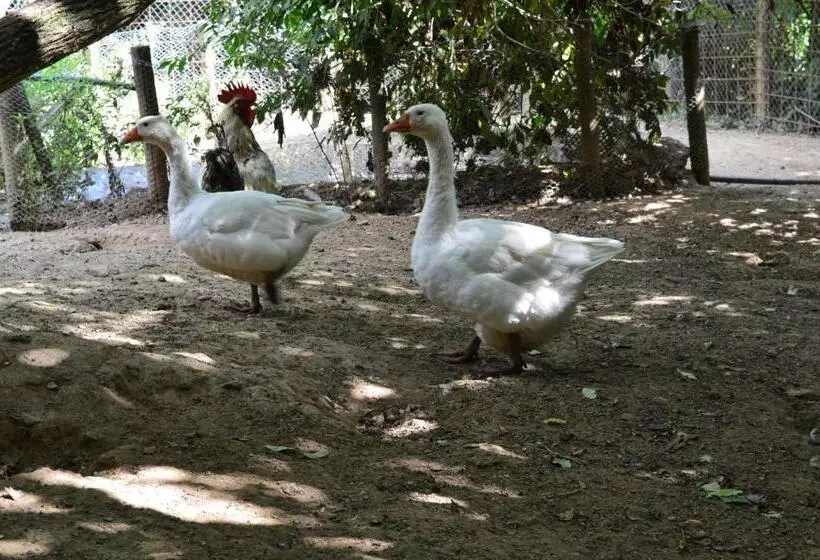 ホテル Agriturismo E Turre