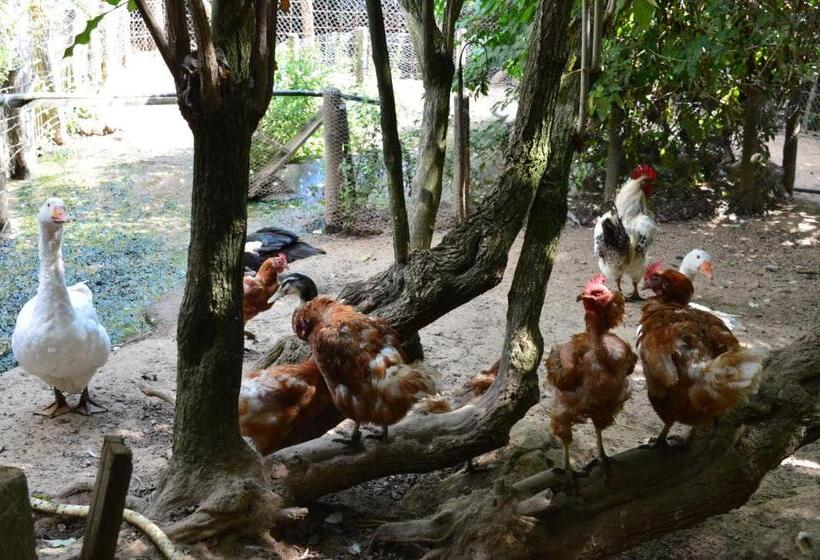 Отель Agriturismo E Turre