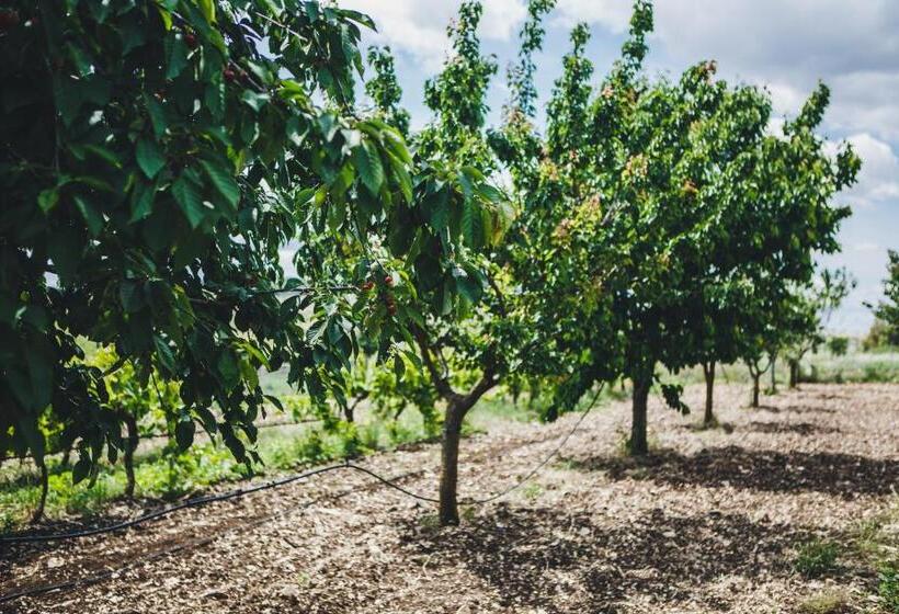 בית מלון כפרי Ai Pilieri Di Bagnoli