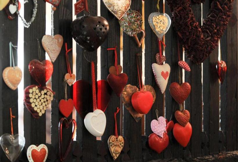 酒店 Albergo Belvedere