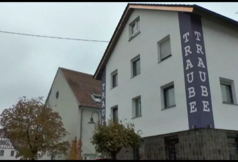 Hotelli Gasthof Traube