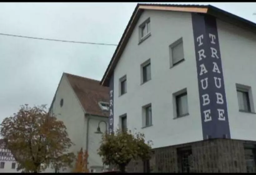 Hotelli Gasthof Traube