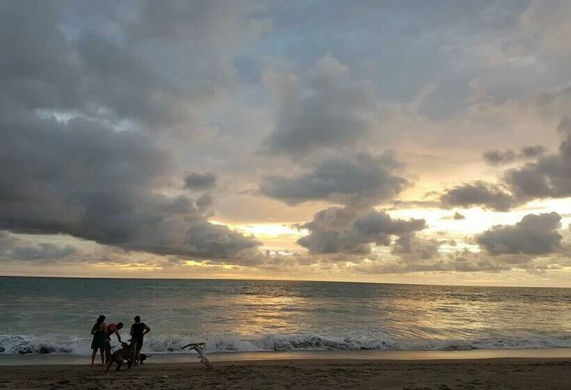 Hotel La Caracola Apart